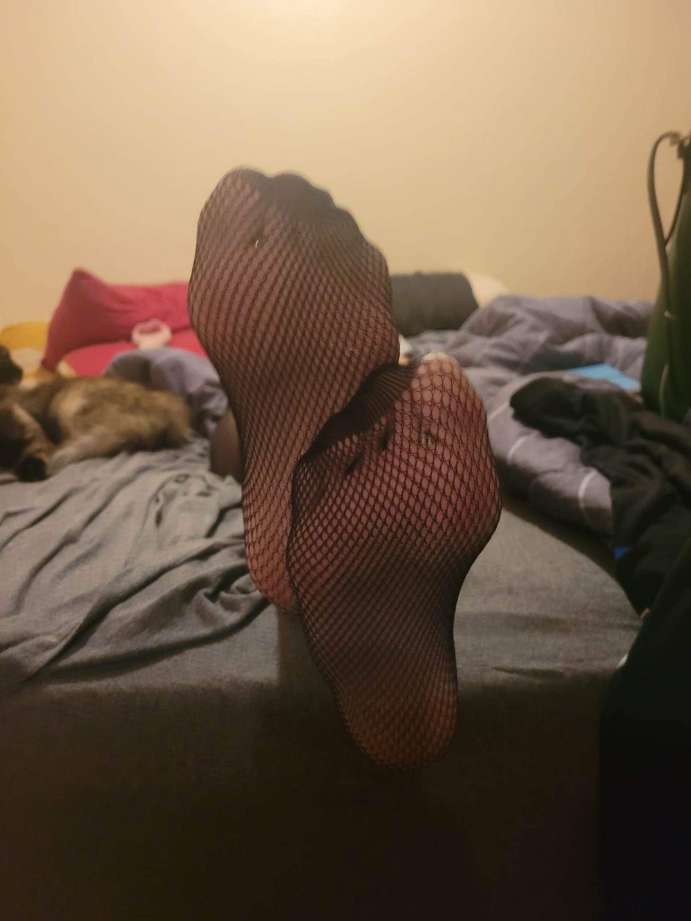 mistressmayhem2 OnlyFans profile picture