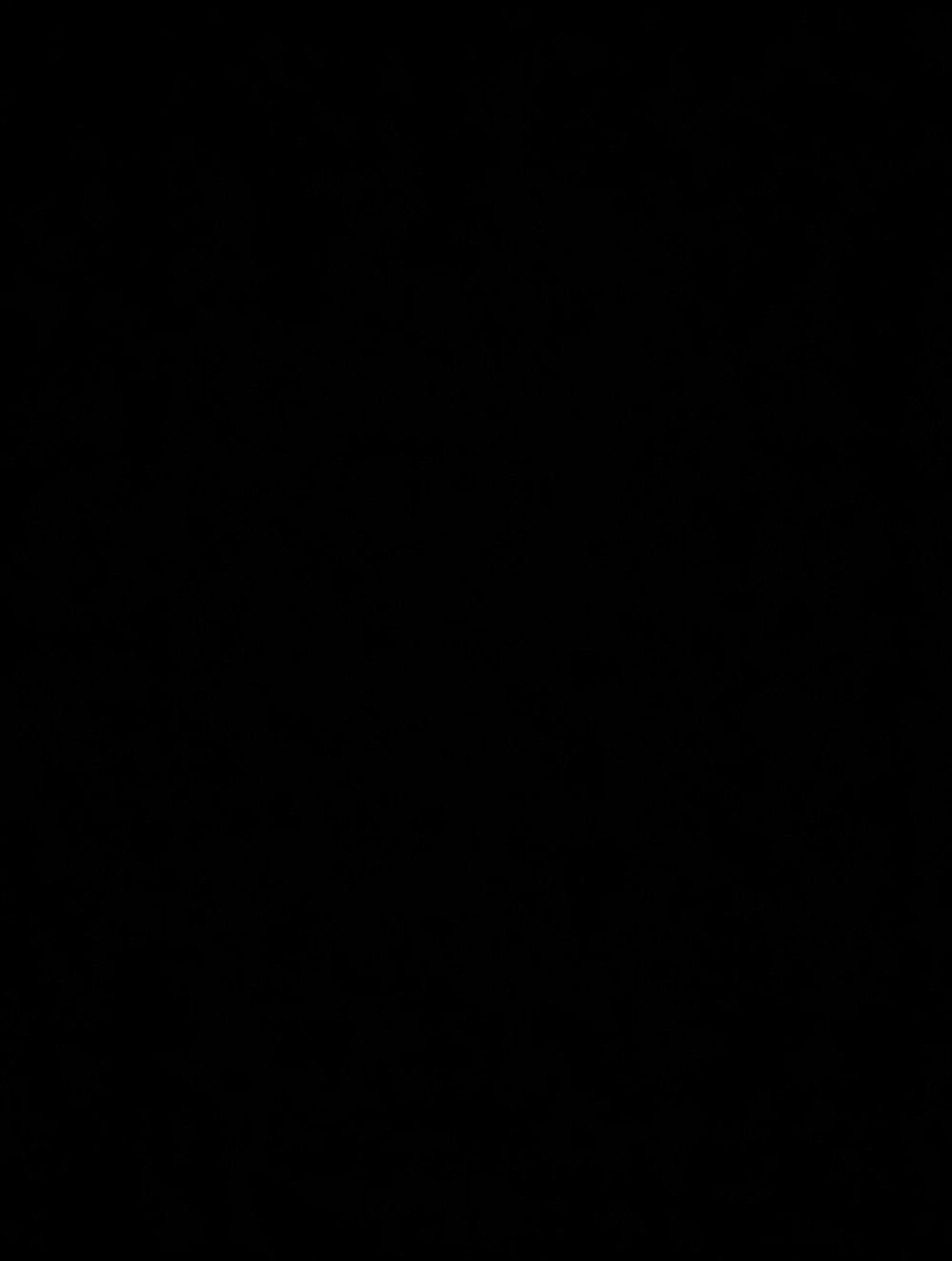 damexdash OnlyFans profile picture