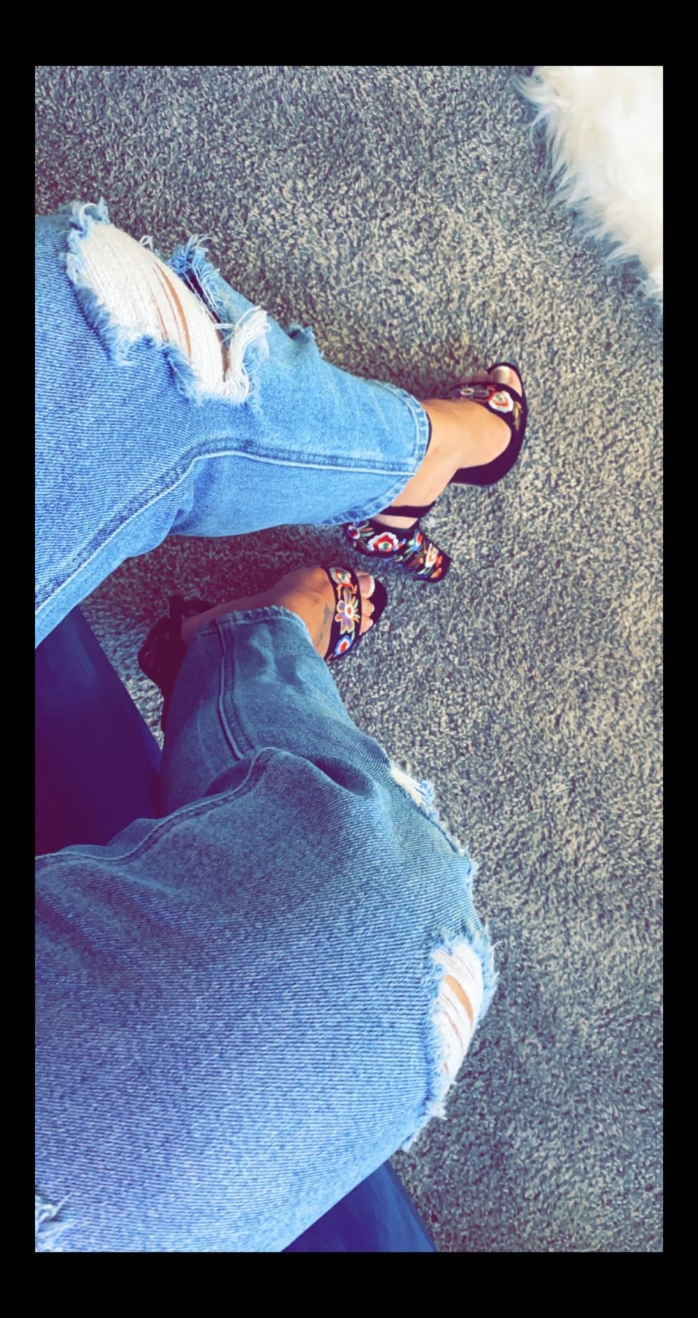 daintylatina OnlyFans profile picture
