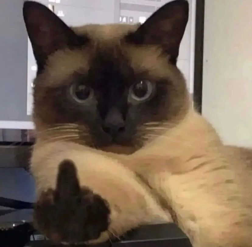 weirdomags OnlyFans profile picture