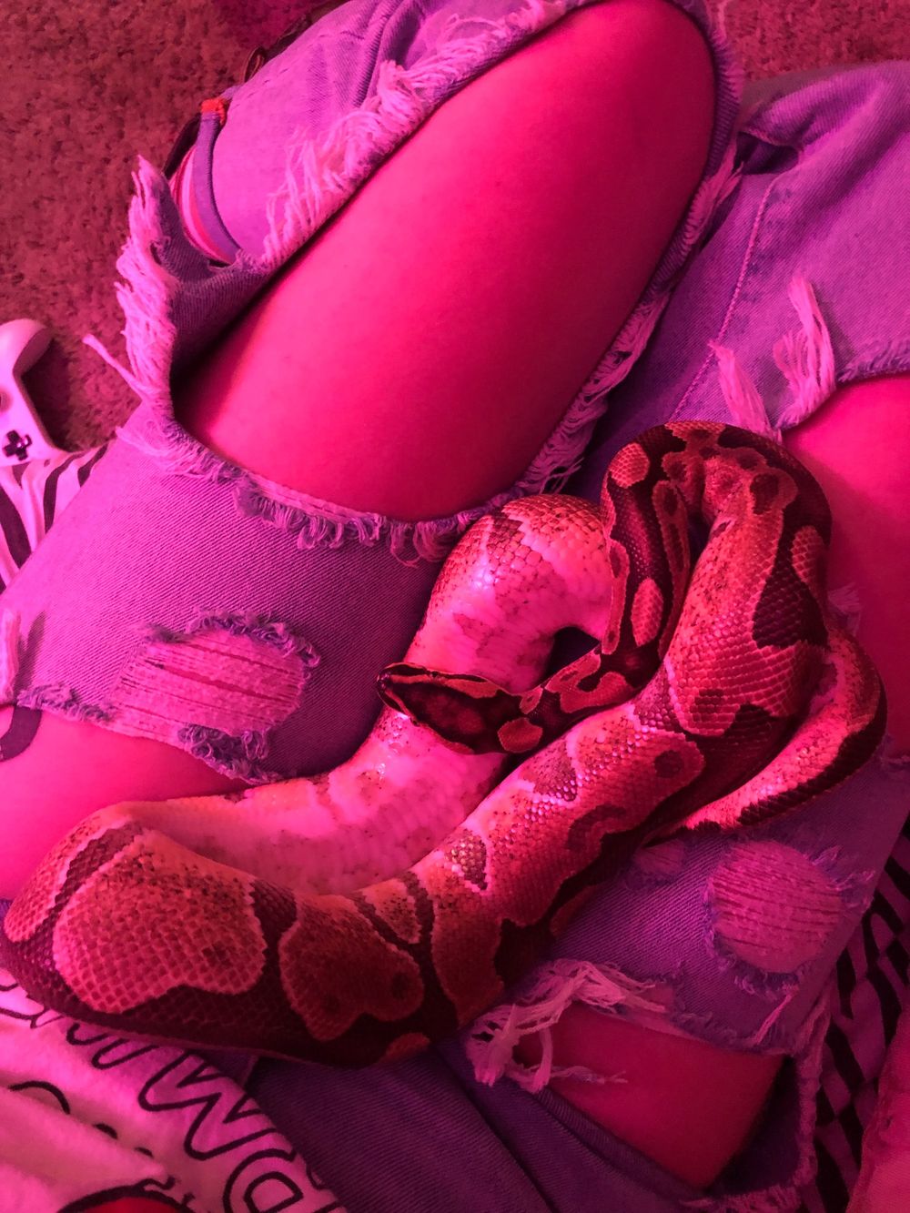 strawberrypython OnlyFans profile picture