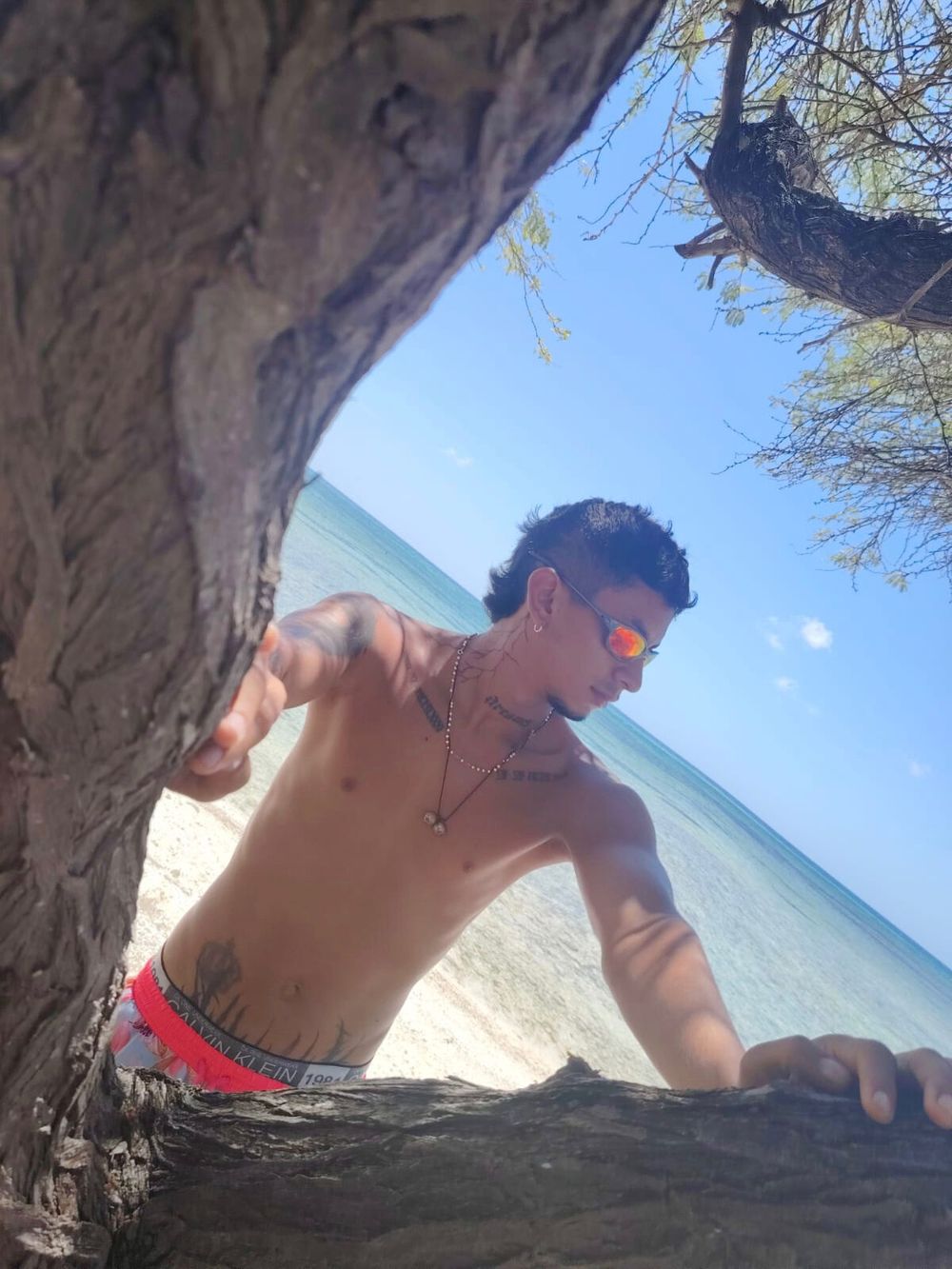 trivinho777 OnlyFans profile picture