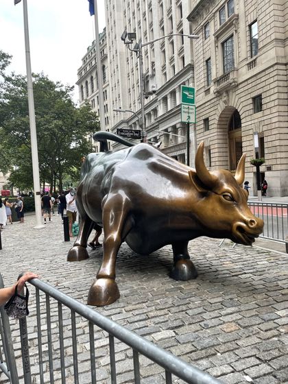 wallstreetbullyz OnlyFans picture