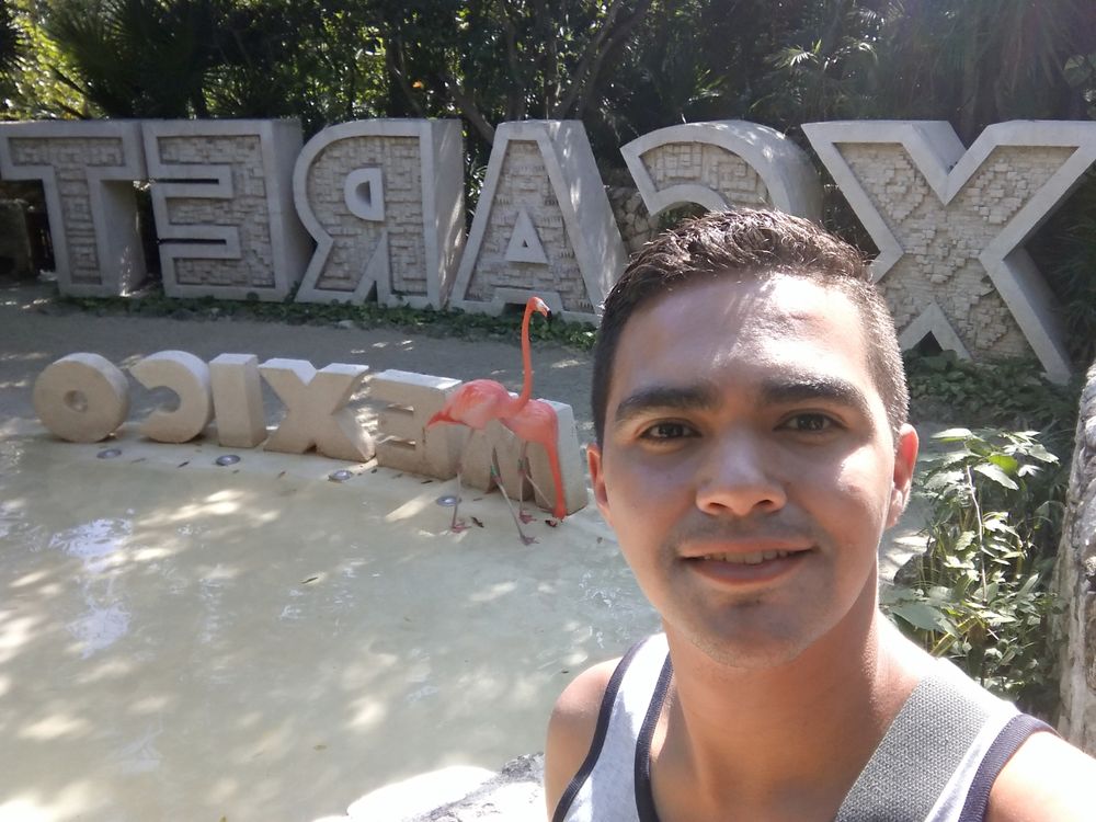 dilearmo OnlyFans profile picture