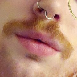 ginger-queer OnlyFans picture