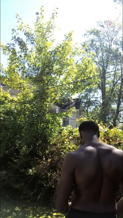half-gorillahalf-horse OnlyFans picture