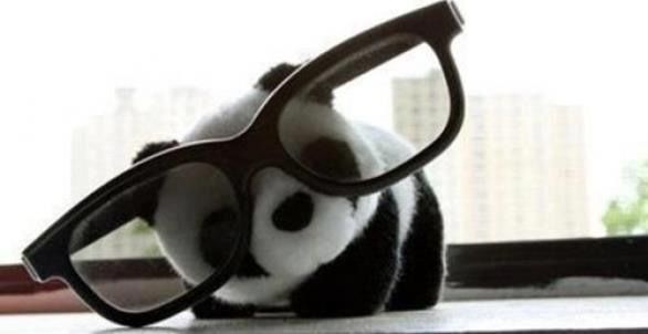 pandabearsmiles OnlyFans profile picture
