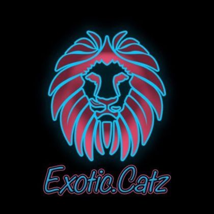 exotic_catz OnlyFans picture