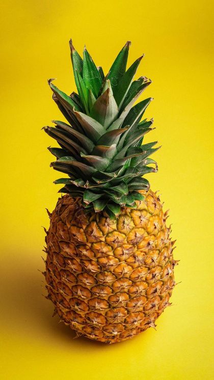 zazacolada-vip OnlyFans picture