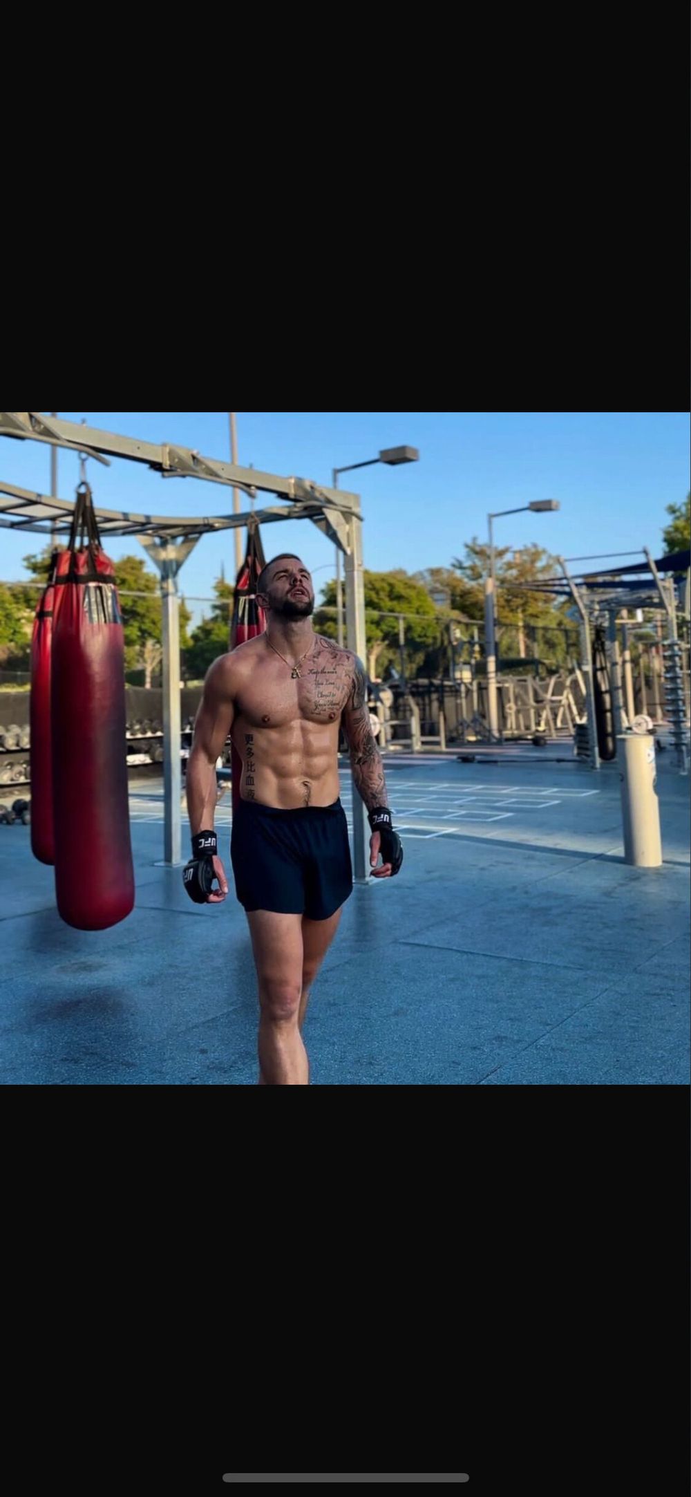 theufcfan_8181 OnlyFans profile picture