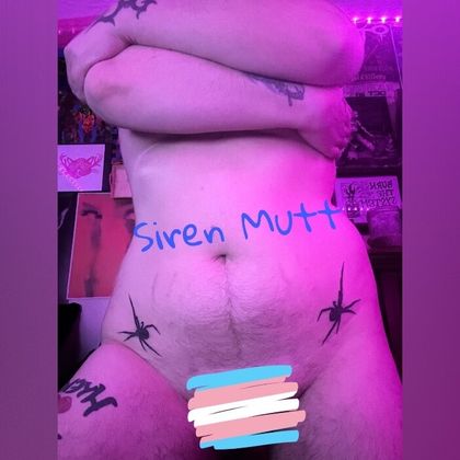 sirenmutt OnlyFans picture