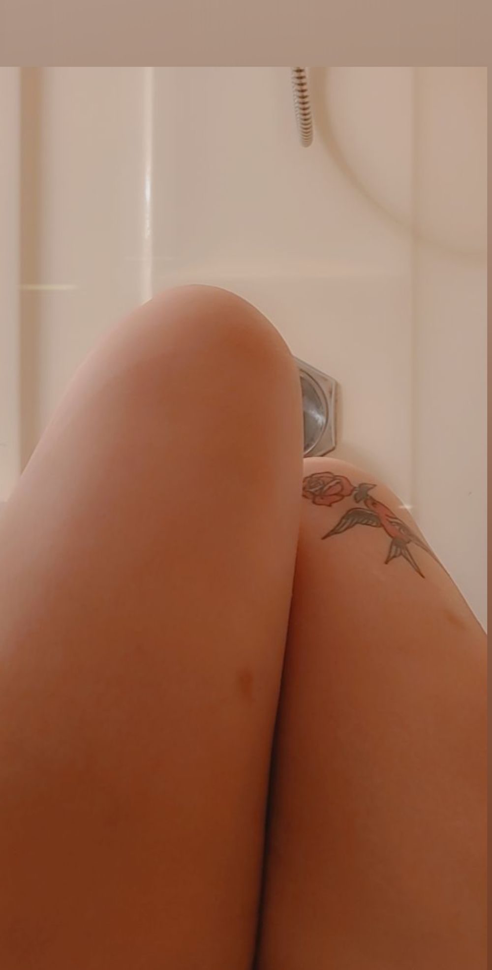 carlynicole91 OnlyFans profile picture