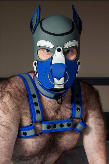 alphapupblue OnlyFans picture