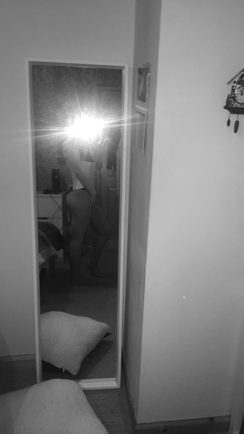 shannonreiley OnlyFans profile picture