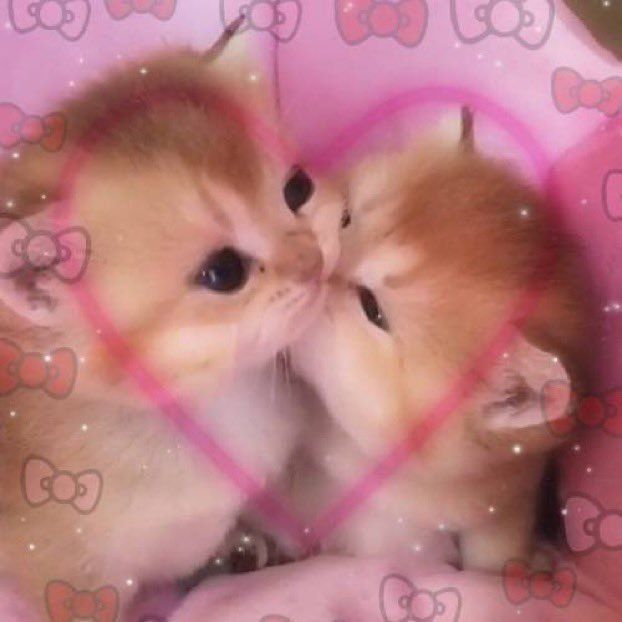 babiepooh OnlyFans profile picture
