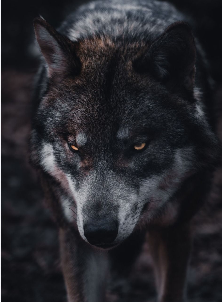 allen611 OnlyFans profile picture