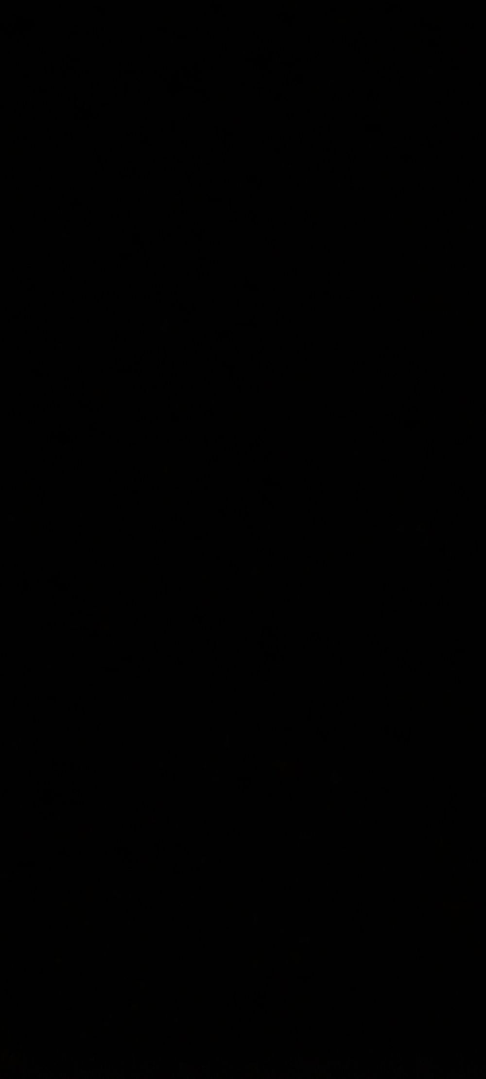 gambels OnlyFans profile picture