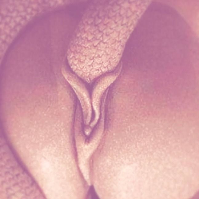 kreamekissez OnlyFans profile picture