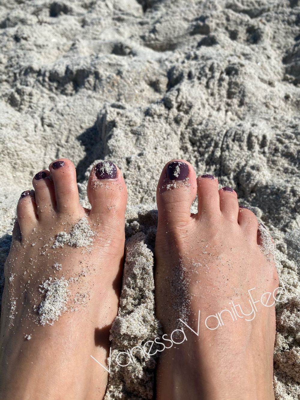 vanessavanityfeet OnlyFans profile picture
