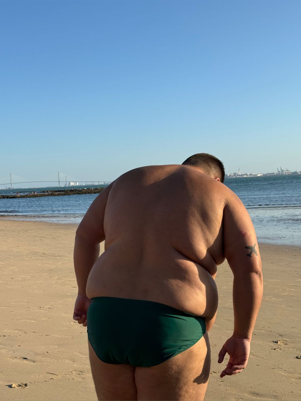 theinvisiblebear OnlyFans profile picture