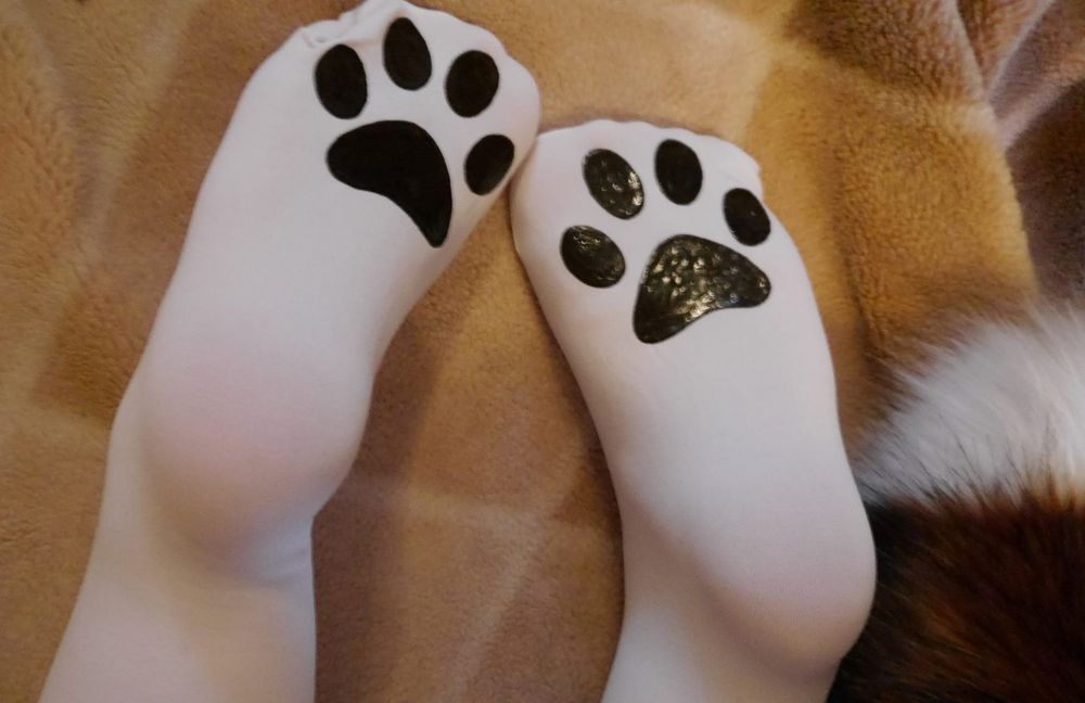 himetsu OnlyFans - Stats, Graphs, Photos & Profile Comparisons