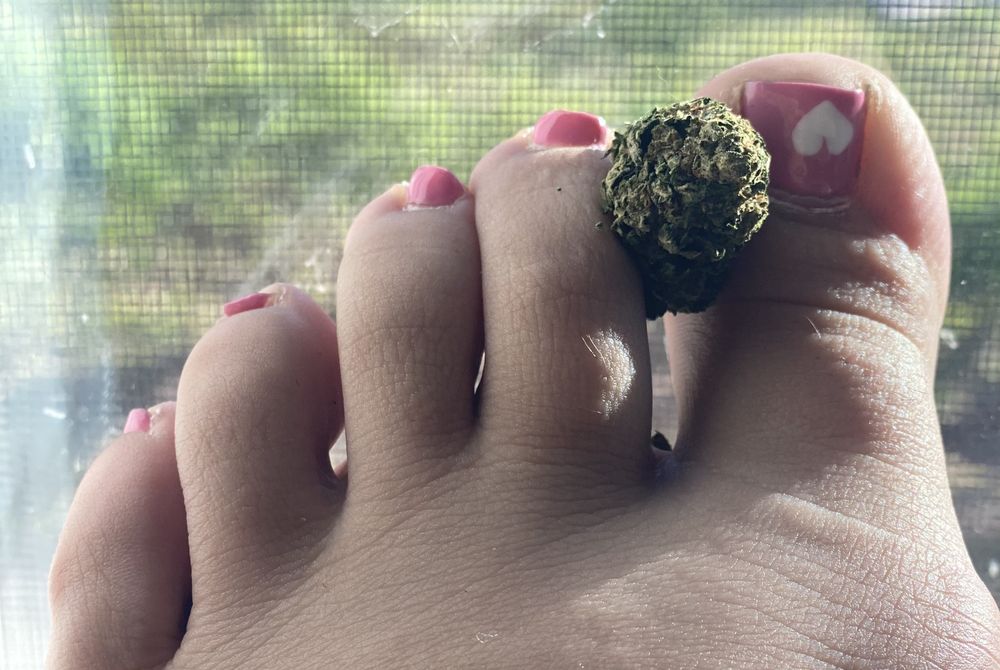 kushntoes OnlyFans profile picture