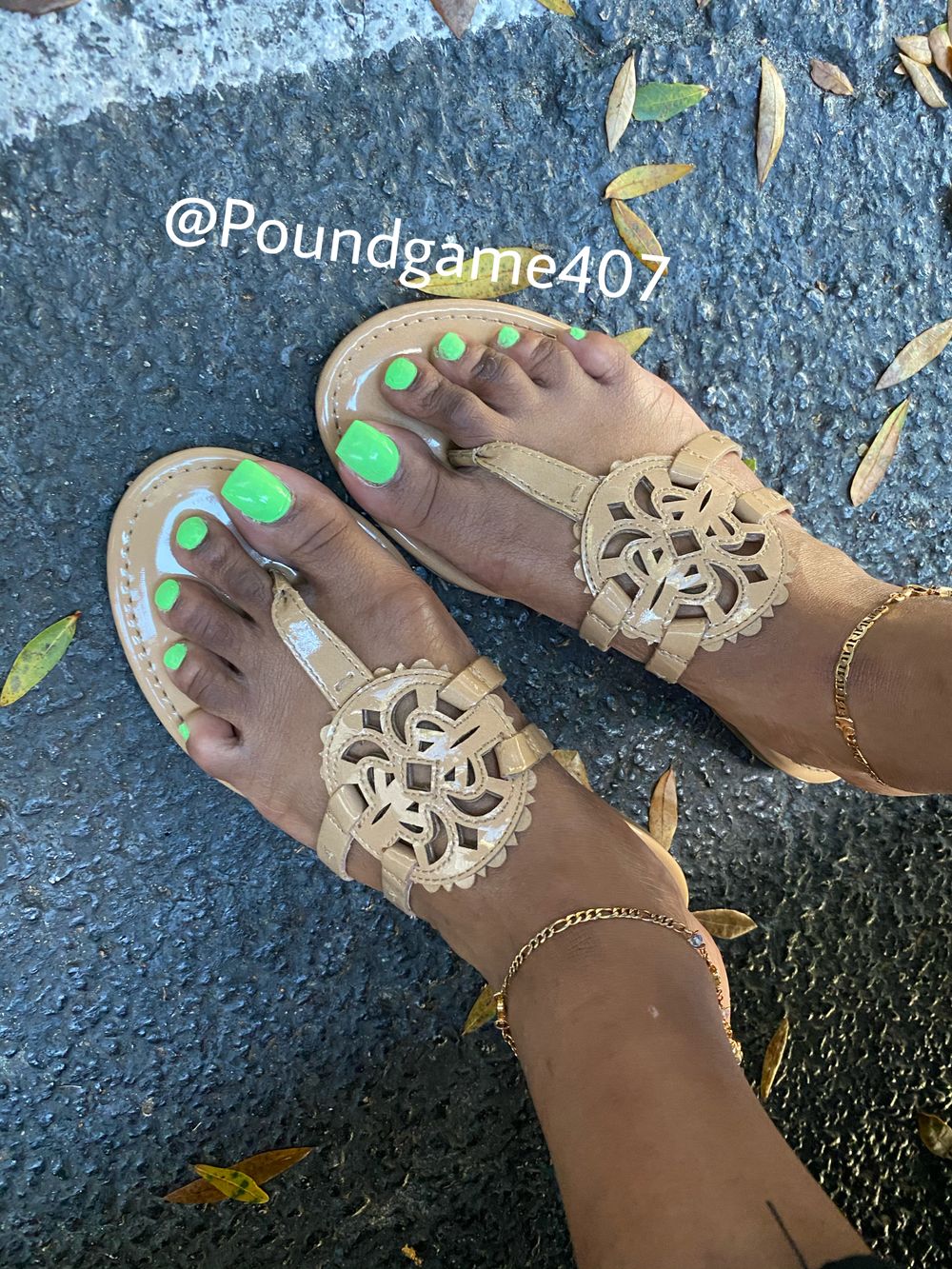 poundgame407 OnlyFans profile picture