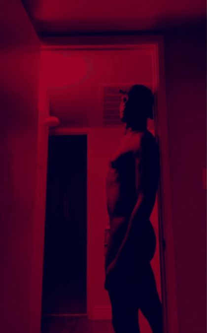 kingbrando OnlyFans picture