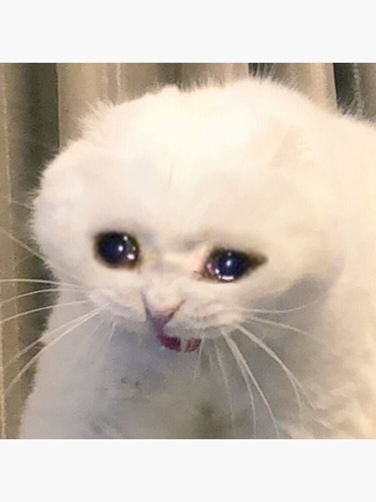 m3nat OnlyFans profile picture