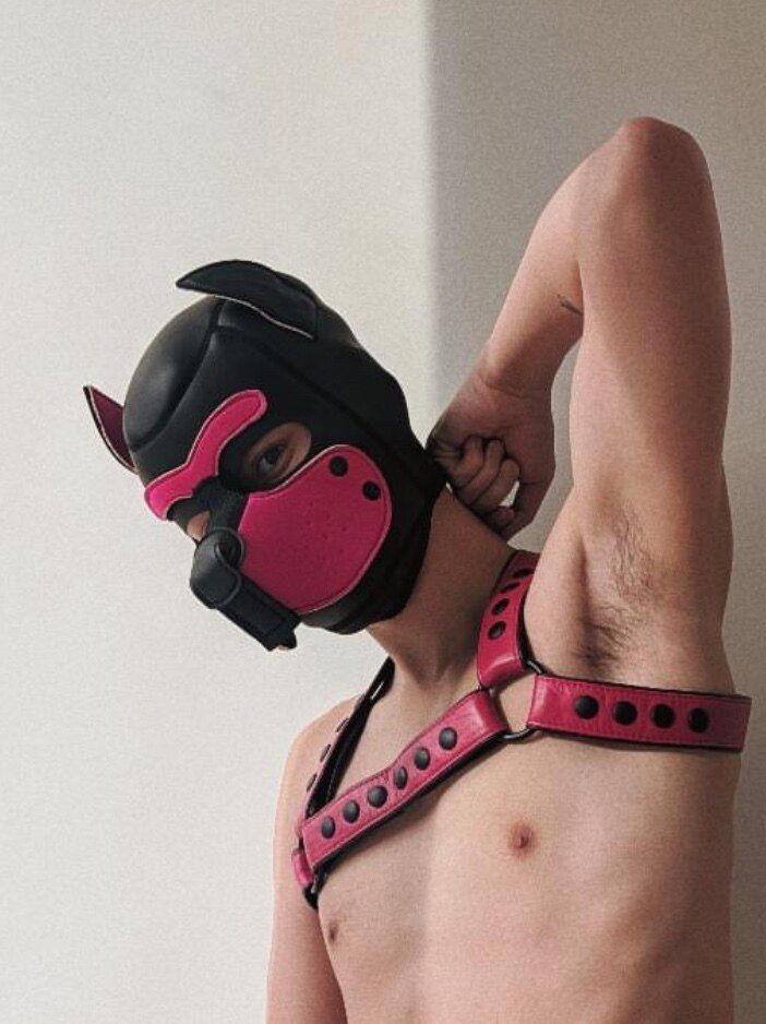 sakurapup_to OnlyFans profile picture