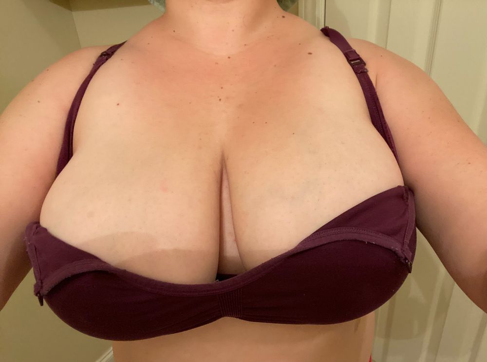 knickersinatwistfans OnlyFans profile picture