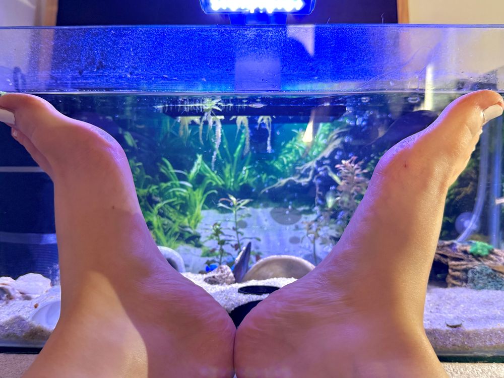 soleworshipx OnlyFans profile picture