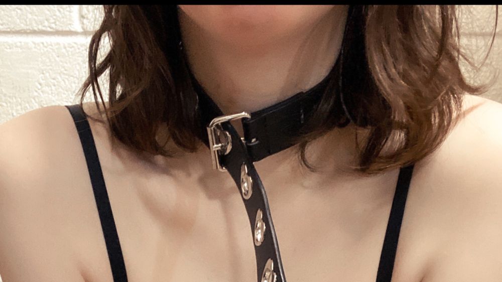 stellaoakliexx OnlyFans profile picture