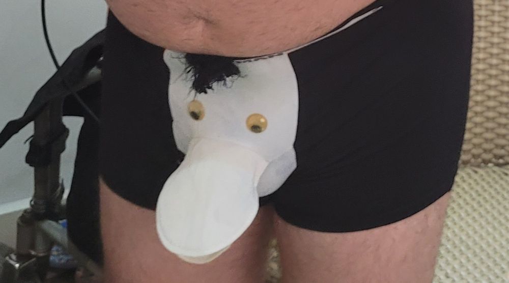 u182064281 OnlyFans profile picture