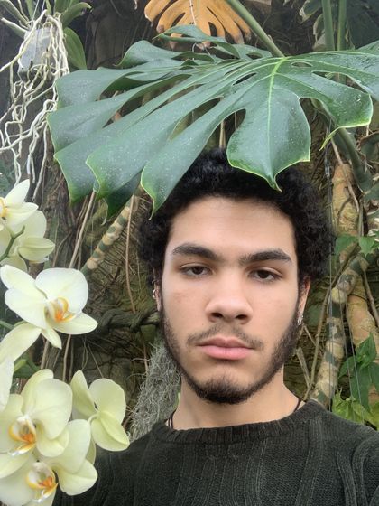nickoless OnlyFans picture