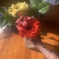 gardenofnuri OnlyFans picture