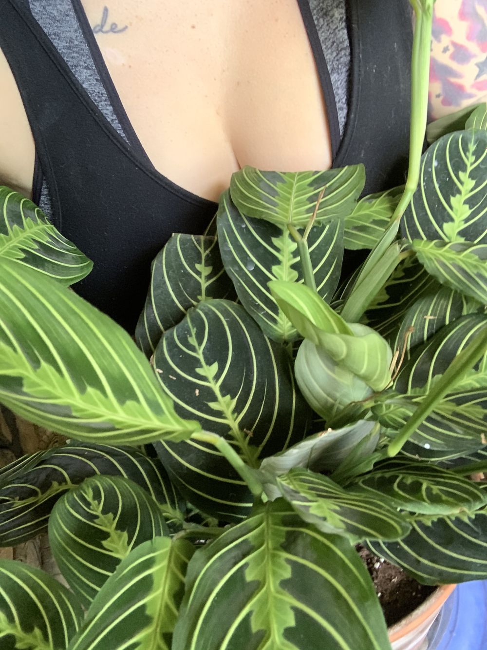 autumnnorth1 OnlyFans profile picture
