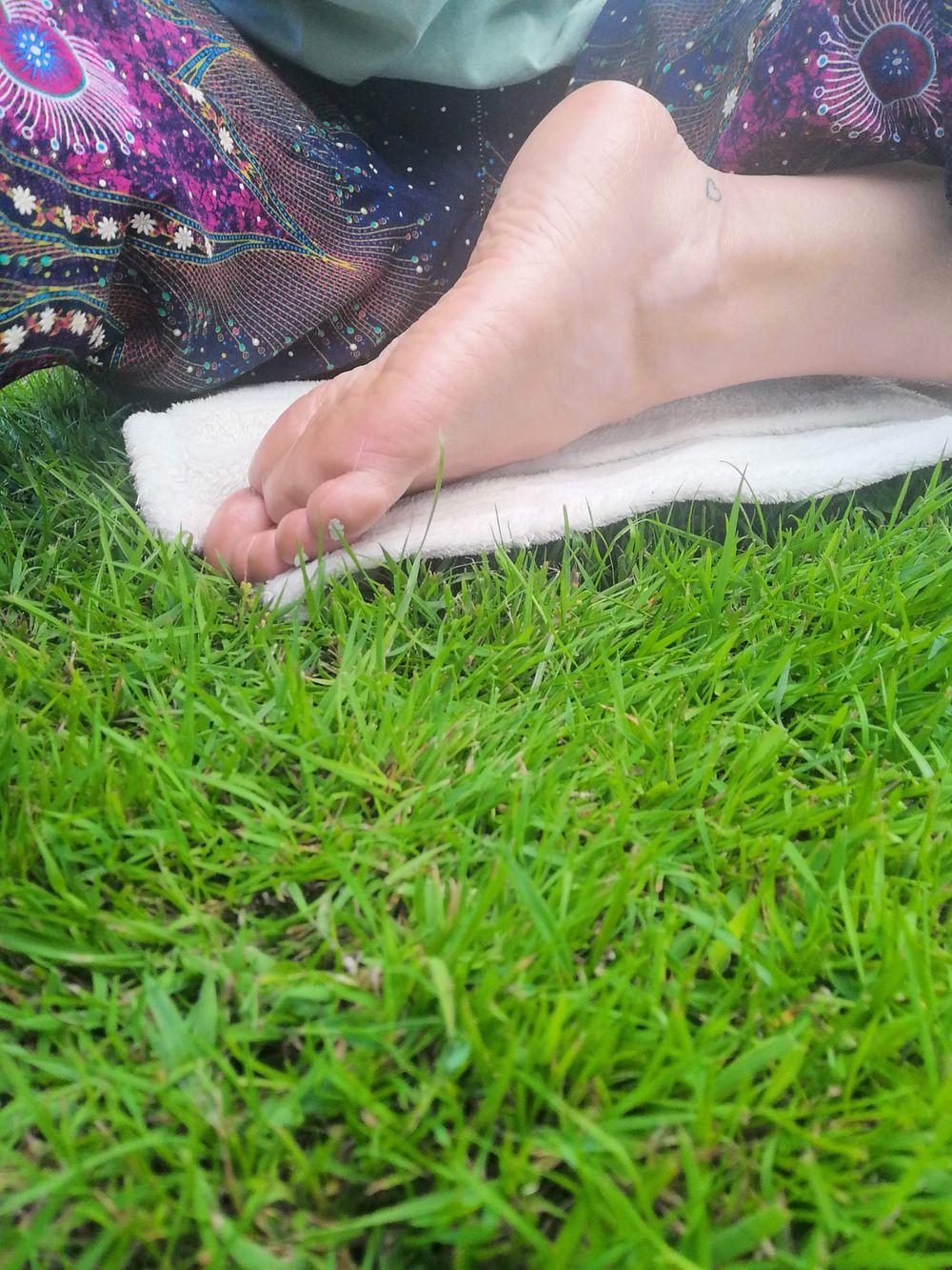 daisysdaintysoles OnlyFans profile picture