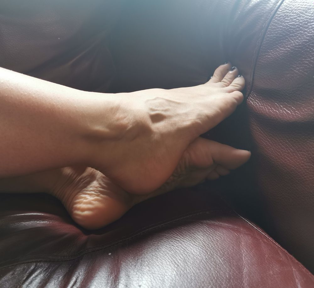 kaybeesfeets OnlyFans profile picture