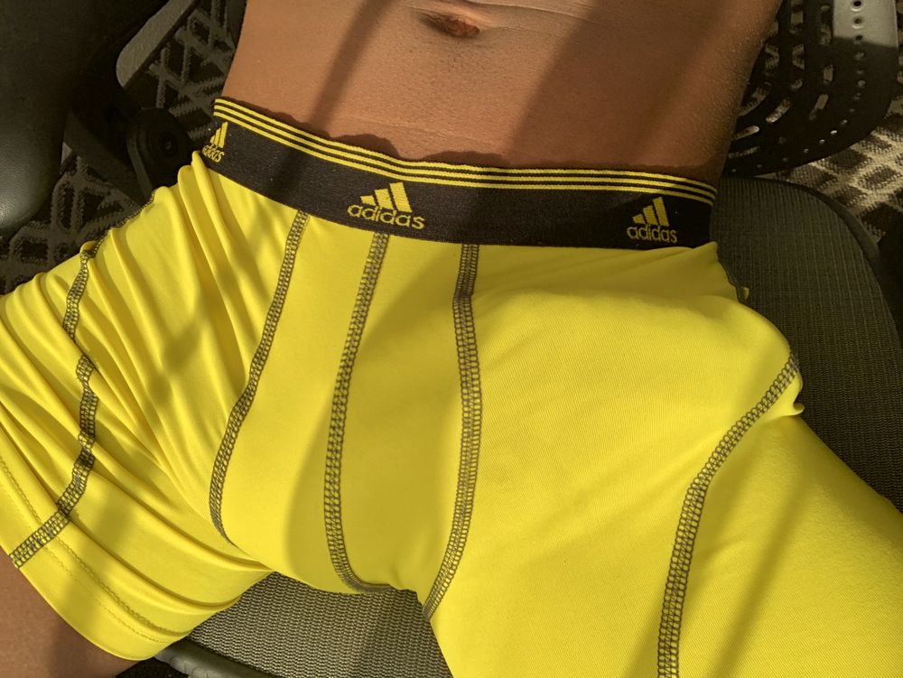 schlongxxx OnlyFans profile picture
