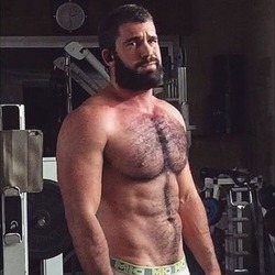 the_alpha_dad OnlyFans picture