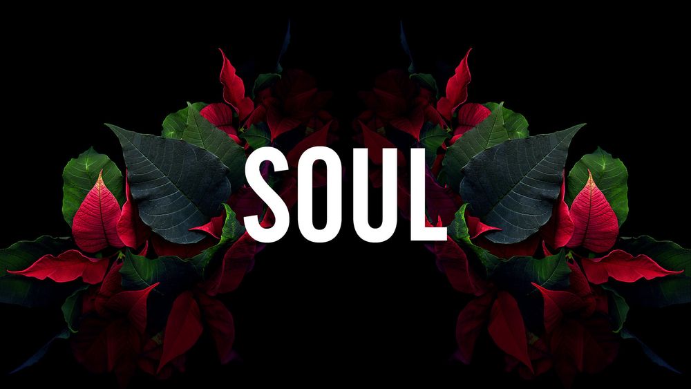 soulreaper09 OnlyFans profile picture