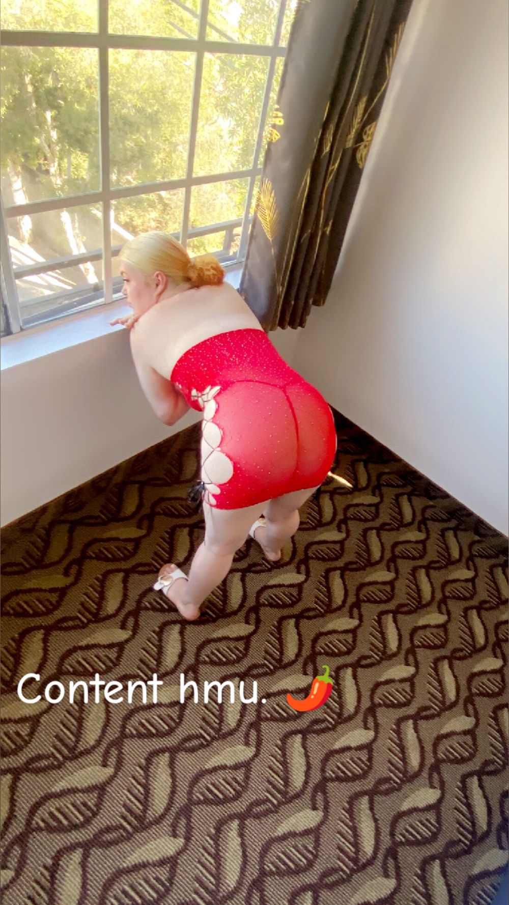 bigbossloyall OnlyFans profile picture