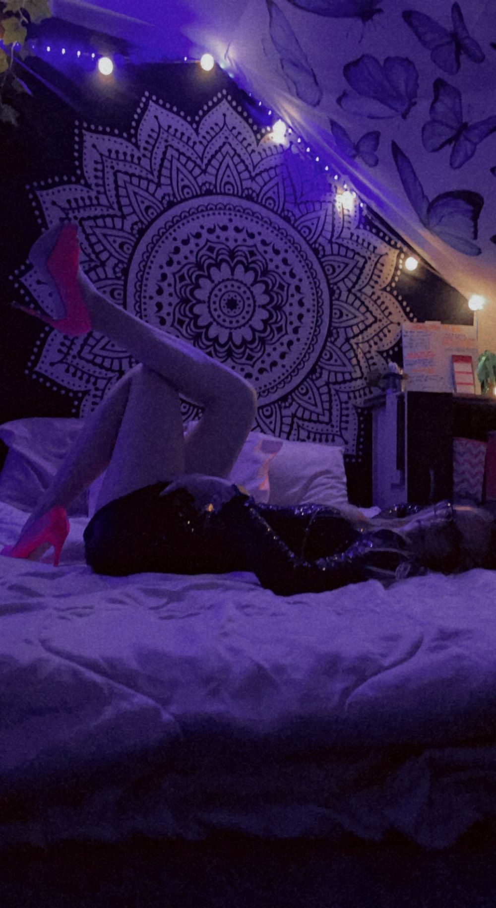 u187231976 OnlyFans profile picture