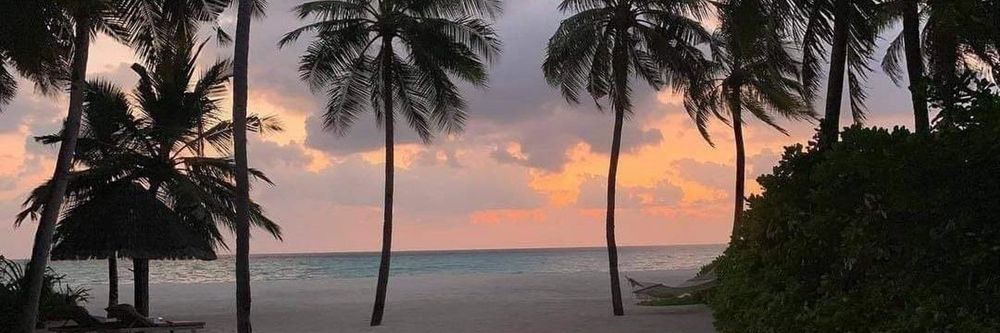 nobodyperonadie OnlyFans profile picture