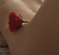 thedivinefemenina OnlyFans profile picture