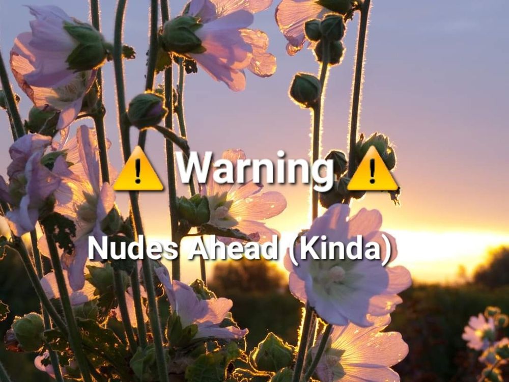 misskittyhellebore OnlyFans profile picture