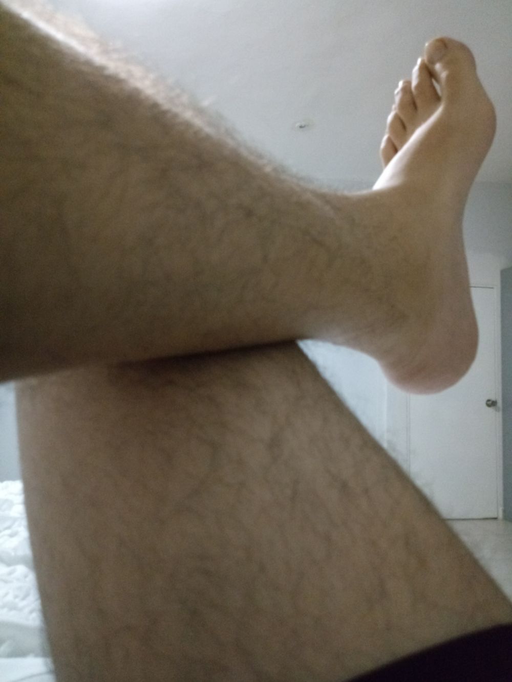 alexcorcasti OnlyFans profile picture