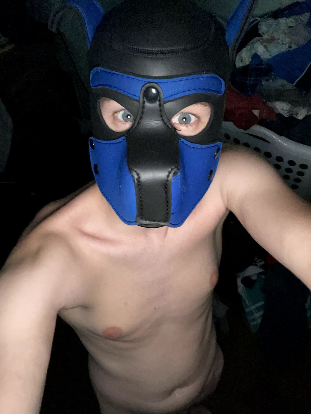 pupnamedblue OnlyFans profile picture