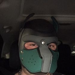 pupshadow OnlyFans profile picture